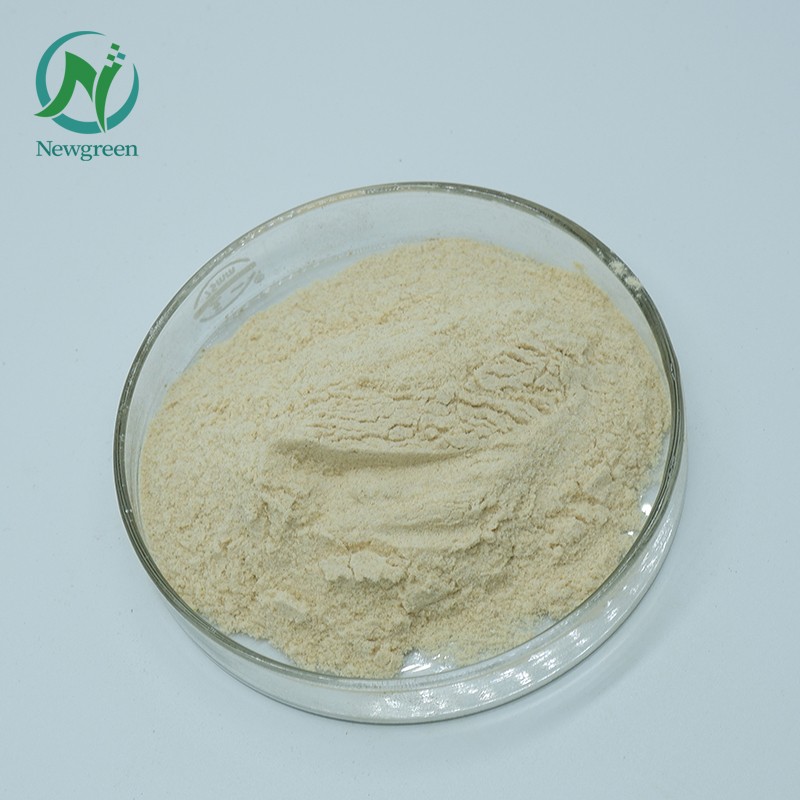 Newgreen Best Price Selenium Enriched Yeast Powder Selenium Powder Food Grade