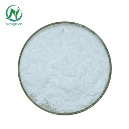 Wholesale Price Lactobacillus Bulgaricus Probiotics Powder