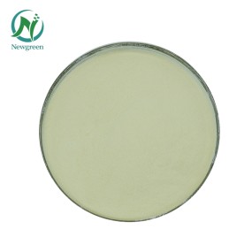 Supply Food Additives Cas 9075-68-7 Pullulanase Powder