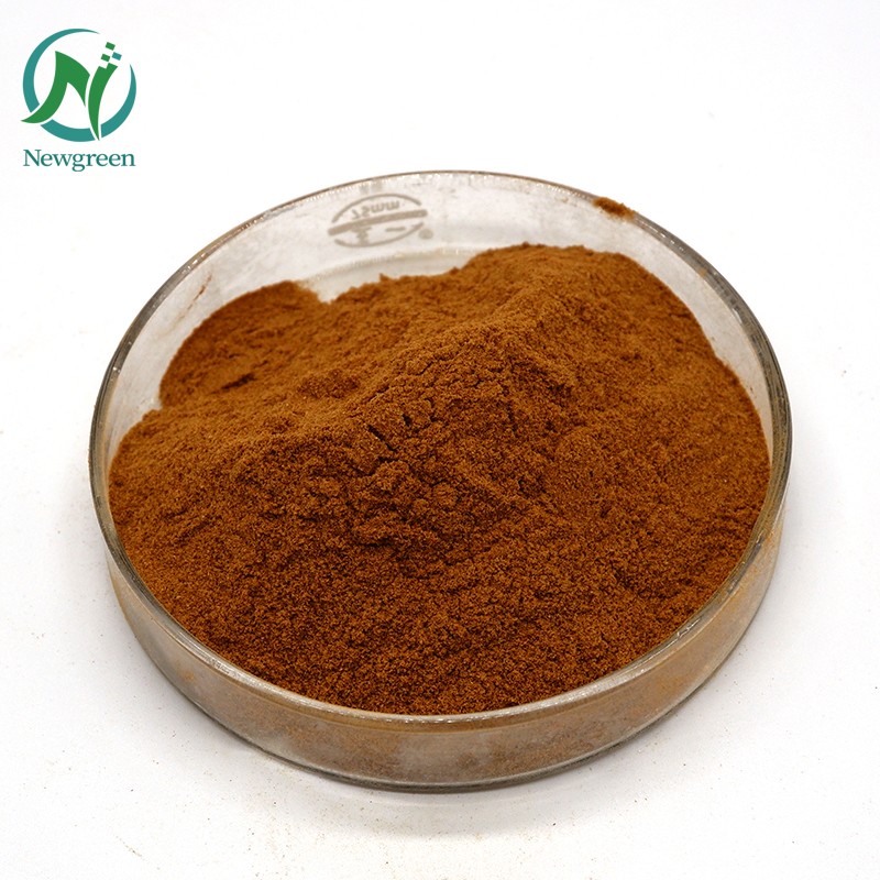 Newgreen Supply 20% 30% Arbutin Uva Ursi Leaf Extract for Skin Whitening