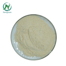 Newgreen Supply High Quality Food Additives Organic Apple Pectin Powder Citrus Pectin Hm Pectin
