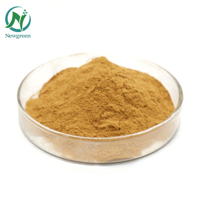 High Quality Panax Notoginseng Root Extract /Radix Notoginseng P.E.