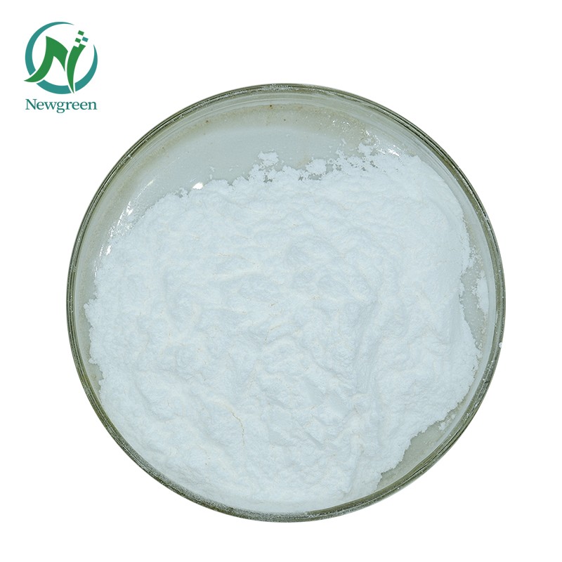 Wholesale Price Lactobacillus Bulgaricus Probiotics Powder