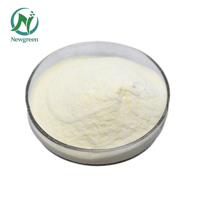 Newgreen Supply High Quality Food Grade Supplement Vitamin K2 MK7 Powder