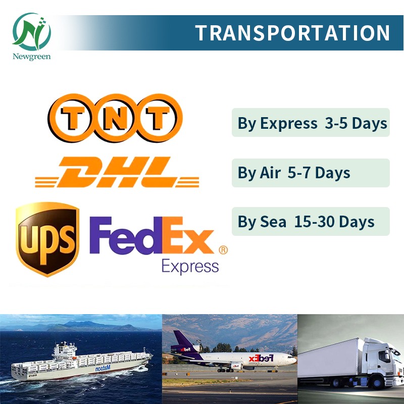 Newgreen Supply Best Price Food Additives D-Xylose