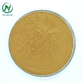 Factory Supply Top Quality Shikakai Extract Powder Shikakai Powder for Hair
