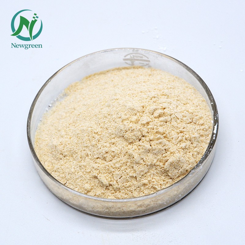 The Merchant Stock Supply Snail Mucus Extract Powder 80 Mesh With Good Price
