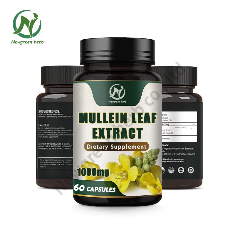 Newgreen Factory OEM Private Label Mullein Leaf Extract Capsules Mullein Leaf Capsule