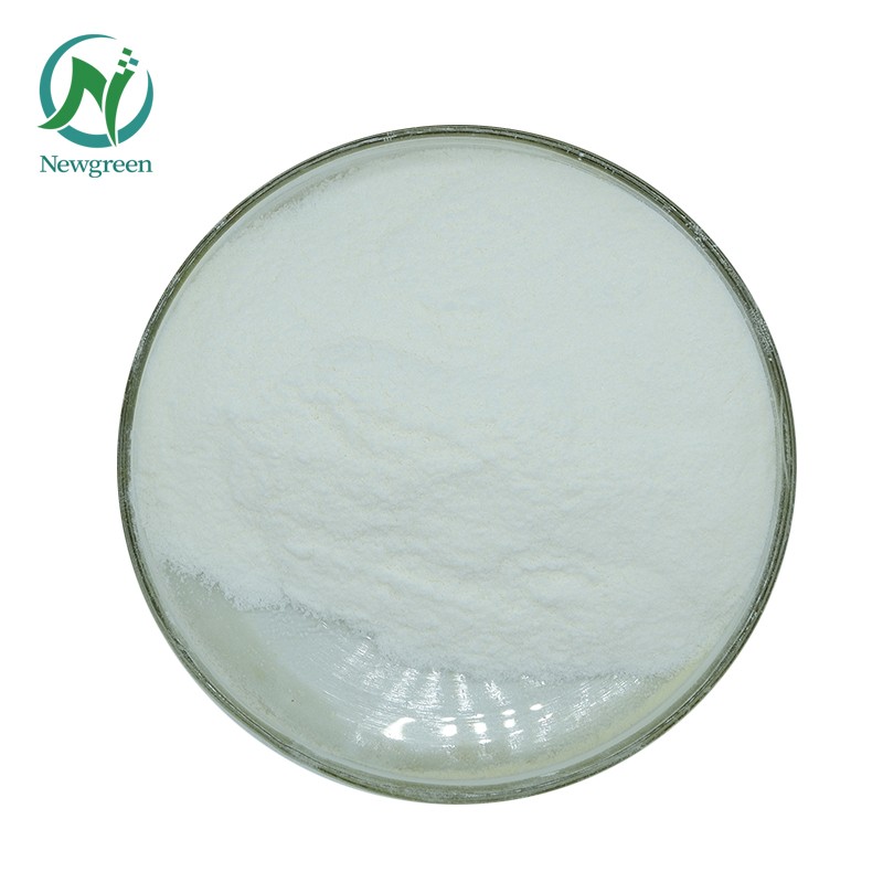 Newgreen Supply High Quality Food Grade Sodium Alginate Powder