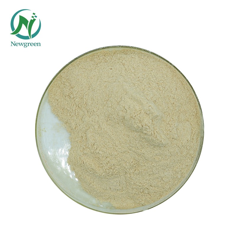 Factory Supply High Quality Pure Sunflower Lecithin Powder