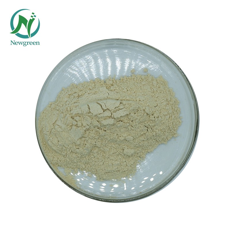 Newgreen Top Quality Lecithin Soy Hydrogenated Lecithin Good Quality Lecithin Soybean