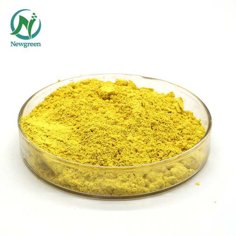 High Quality Berberis Aristata Extract 98% Berberine HCL/Berberine Hydrochloride