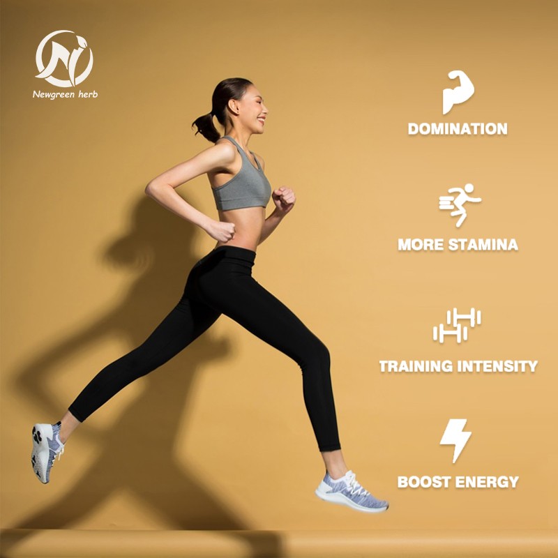 Newgreen Factory OEM Private Label Shilajit Extract Capsules