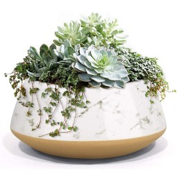 Indoor Planter Manufacturer - Hand Painting Cement Pot