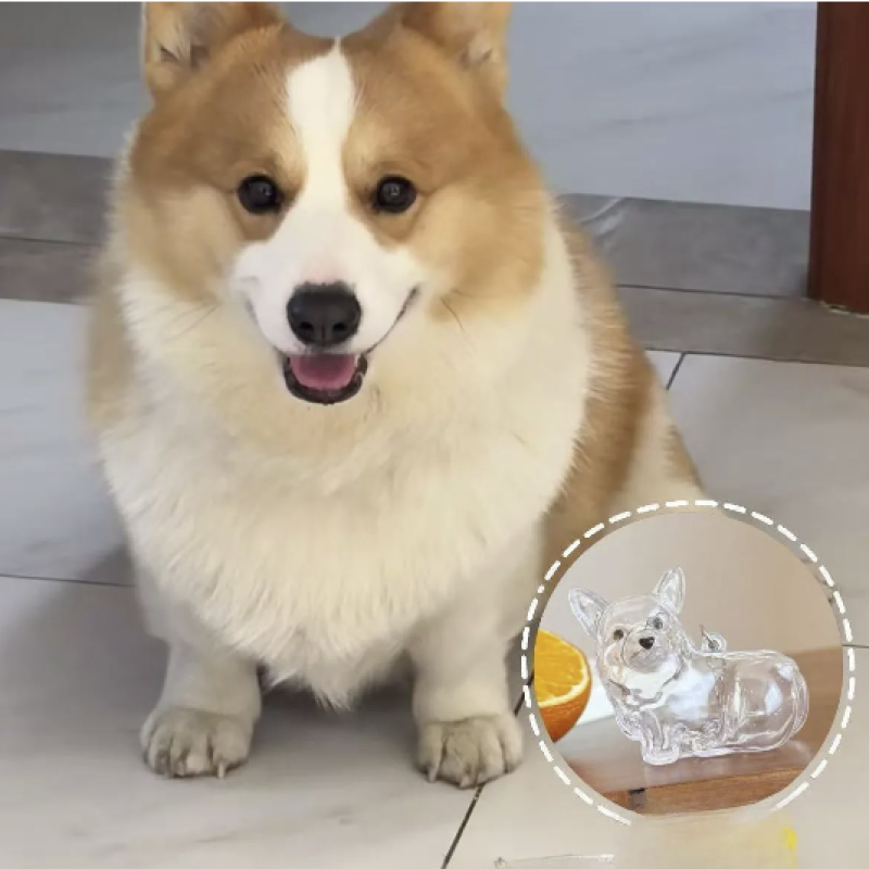 Pet Hair Container Factory - Acrylic Fur Storage Keychain