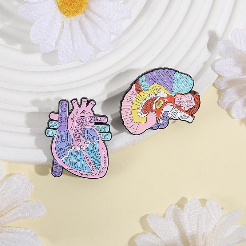 Anatomy Brooch Factory - Organ Enamel Doctor Badge