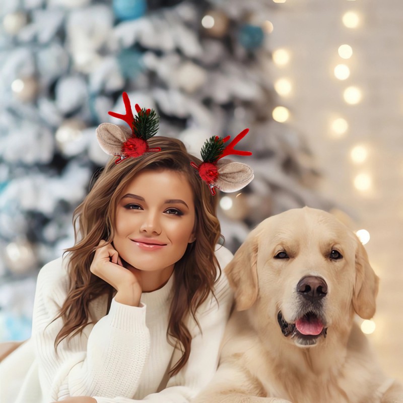 Hair Clip Manufacturer - Deer Horn Hairpin with Bell