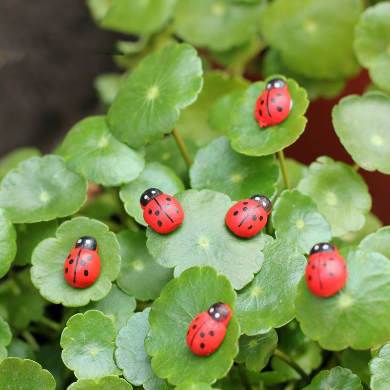 Animal Figures Manufacturer - OEM Custom Ladybug Garden Set
