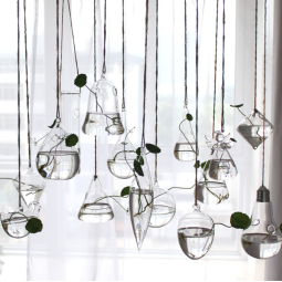 Terrarium Factory - Geometric Hanging Glass Planter