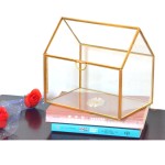 glass terrarium