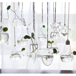 Hanging Globe Manufacturer - Round Glass Terrarium Ball