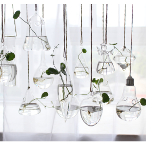 Hanging Globe Manufacturer - Round Glass Terrarium Ball