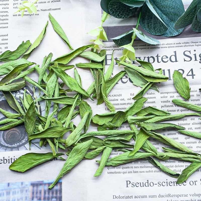 Whole Dried Stevia Leaves 100% Pure Tian Ye Ju High Quality Dried Stevia Leaf for Tea