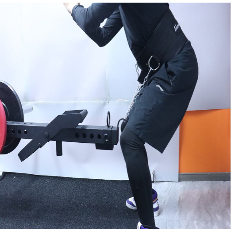 Hip Belt Squat Supplier - Premium Smith Machine Attachment Strength Training