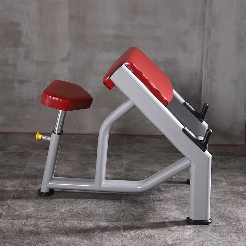 Bicep Curl Machine Factory - Professional Roman Chair for Gym Strength Training