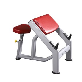 Bicep Curl Machine Factory - Professional Roman Chair for Gym Strength Training