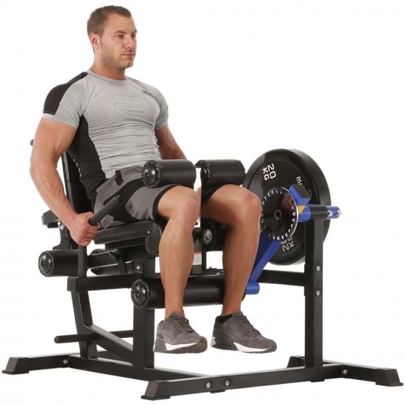 Leg Extension Machine Factory - Pin Load Selection Dual Functional