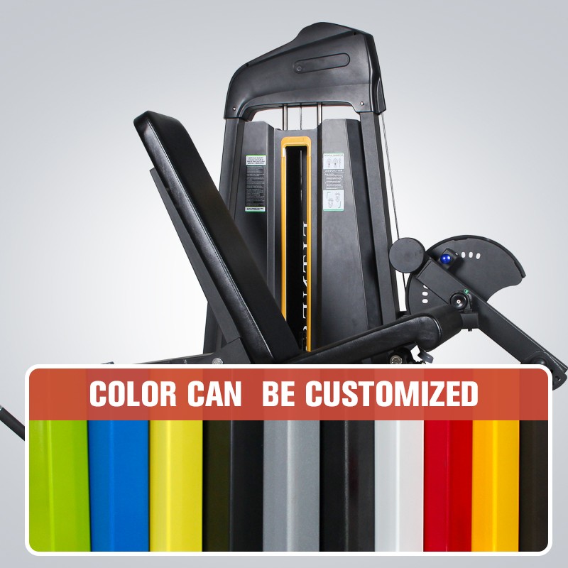 Leg Extension Machine Manufacturer - Sitting Leg Curl All-in-One