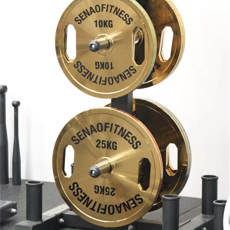 Weight Plates Factory - Golden Calibrated Steel Bumper