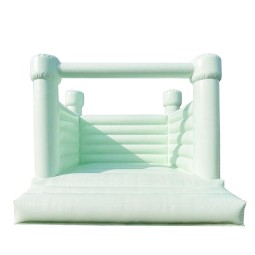 Bounce House Supplier - Pure White Jumping Castle with Slide