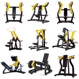 Gym Equipment Factory - Wholesale Commercial Strength Training Machine