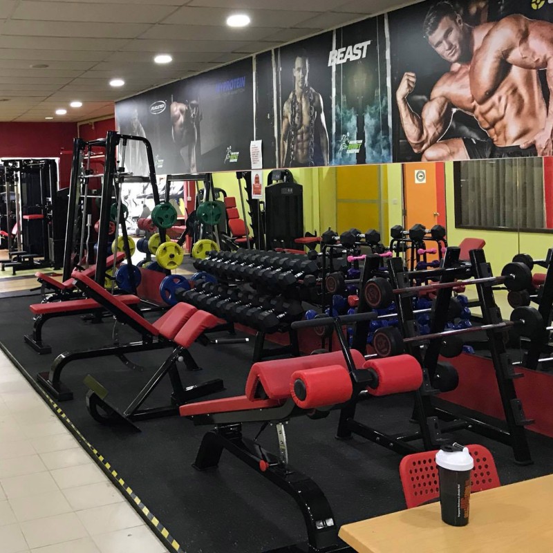 Functional Trainer Factory - Strength Trainer with Weight Bench