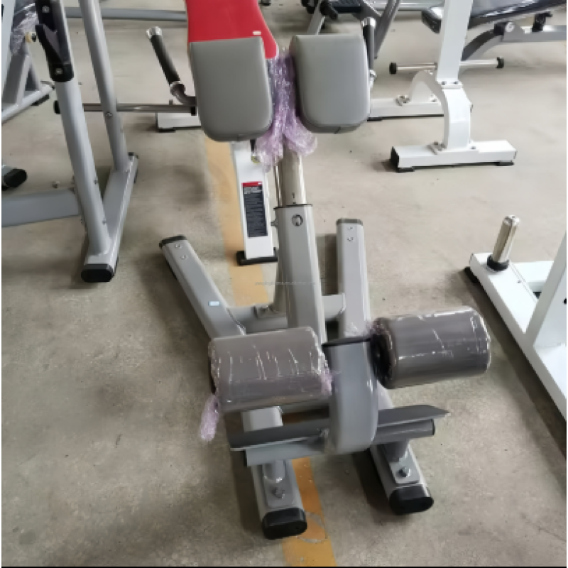 Gym Bench Manufacturer - Multi-functional Steel Roman Chair