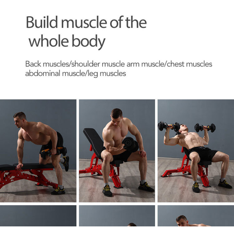 Fitness Chair Factory - Professional Weightlifting Equipment