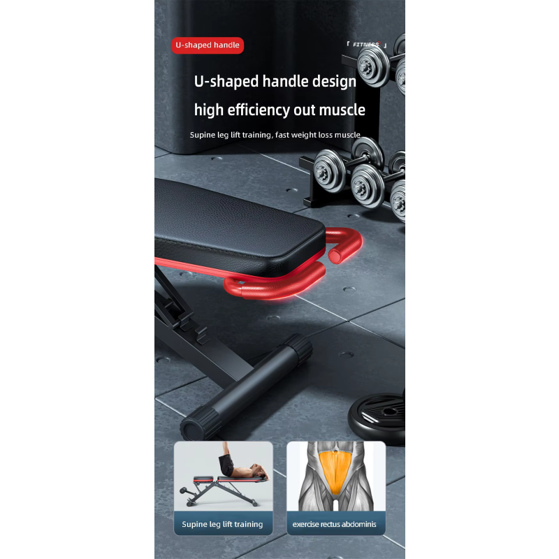 Sit-up Board Supplier - Steel Bird Press Stand