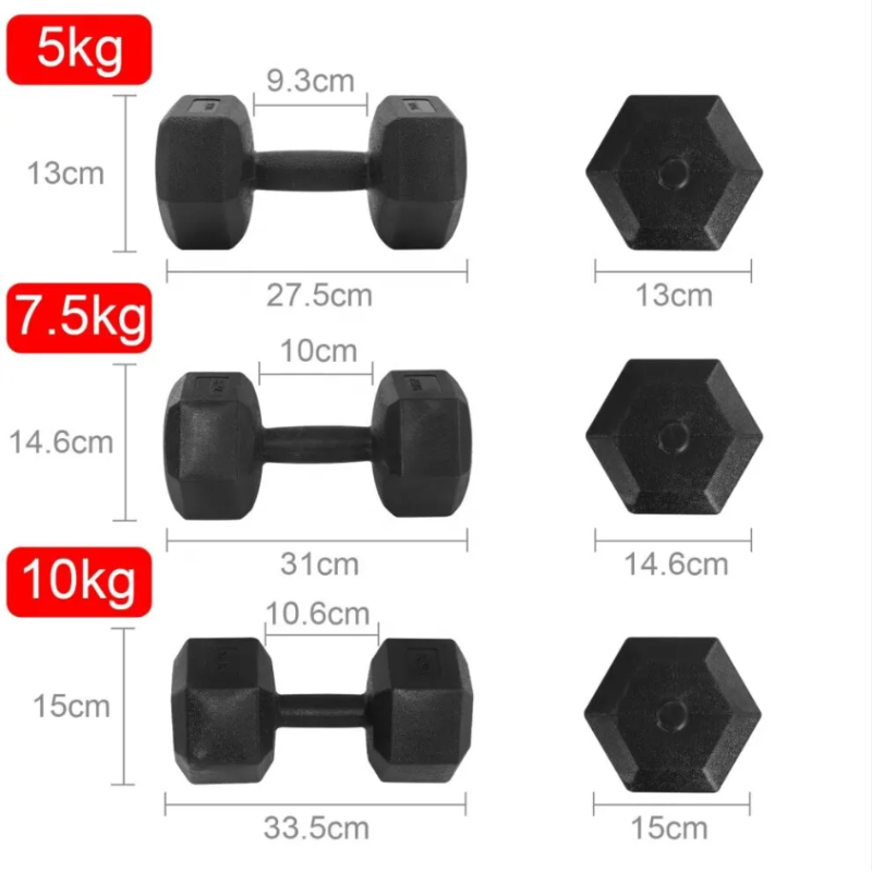 Rubber Dumbbell Manufacturer - Colorful Hexagonal Men Women