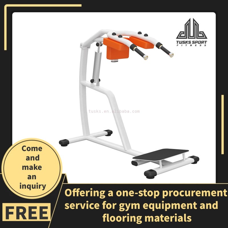 Hydraulic Squat Machine Manufacturer - Gym Equipment Lady Use