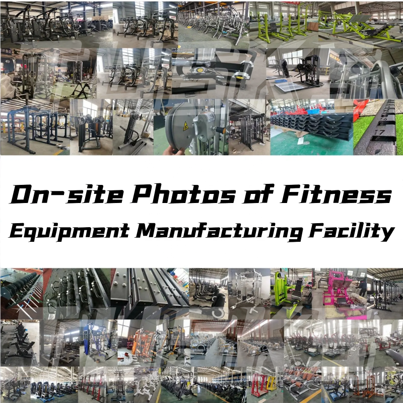 Vinyl Kettlebell Manufacturer - Professional Training Color