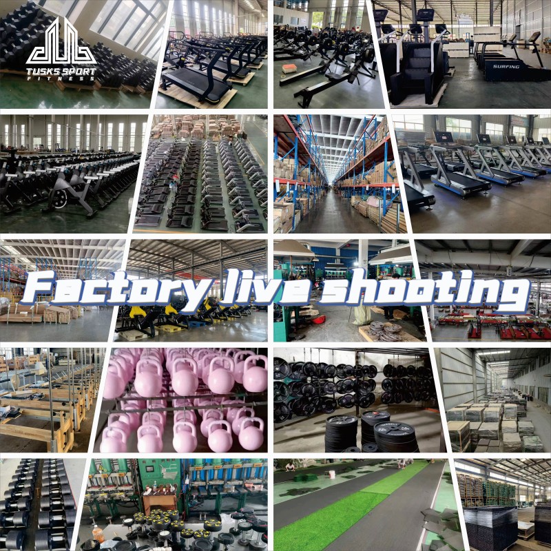 Weight Plate Tree Supplier - Professional Gym Equipment