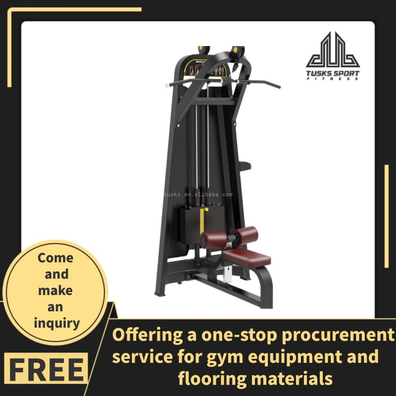 Bumper Plate Factory - Good Price Custom Color