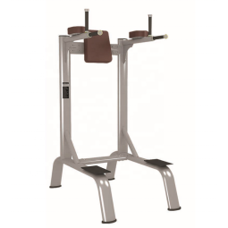 Gym Rack Manufacturer - Vertical Knee Dip Exercise Machine
