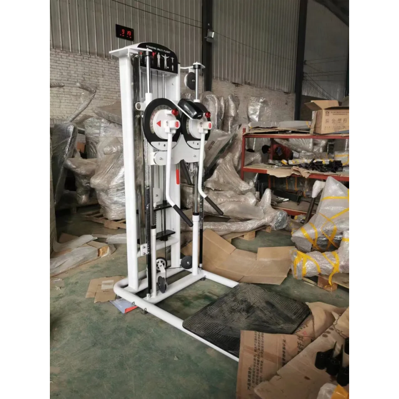 Standing Lateral Raise Supplier - Multi Flight Functional Equipment