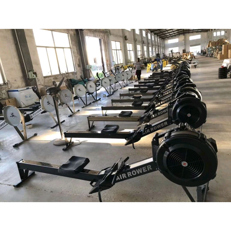 Air Rowing Machine Supplier - Heavy Duty Iron Material Fitness Equipment