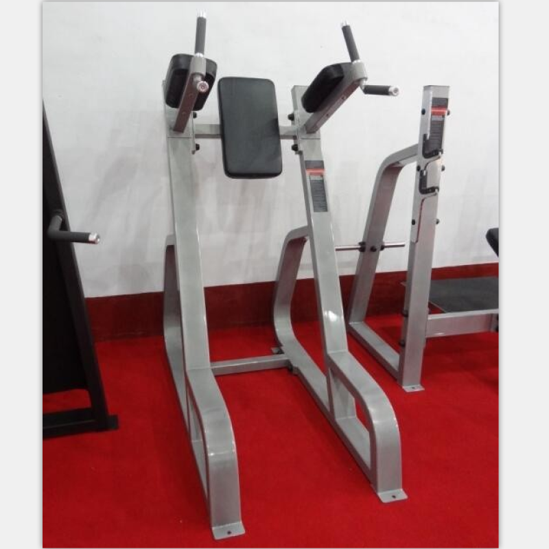 Parallel Bars Supplier - Commercial Leg Muscle Training
