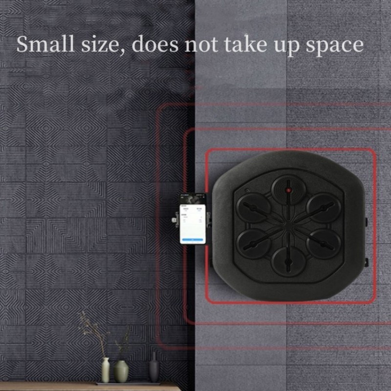 Boxing Machine Factory - Wall Target Training Equipment