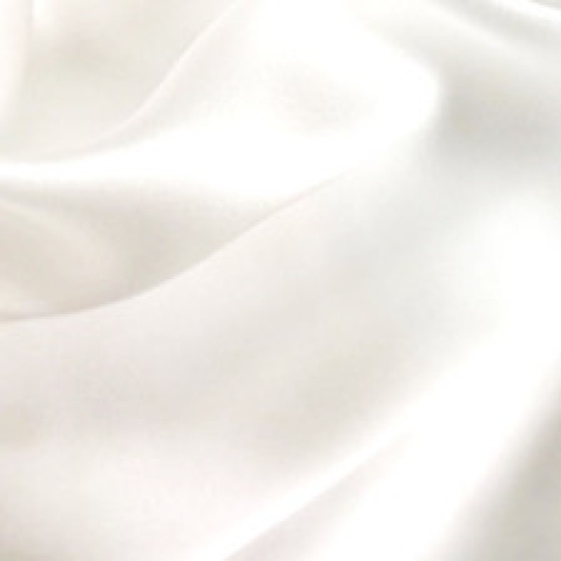 Pure Silk Supplier - 100% Satin 22mm Pillowcase